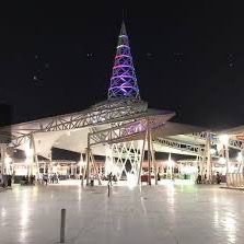 فهد بن قاسم