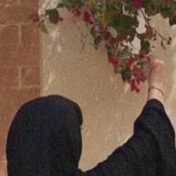 تغطيات وجدان