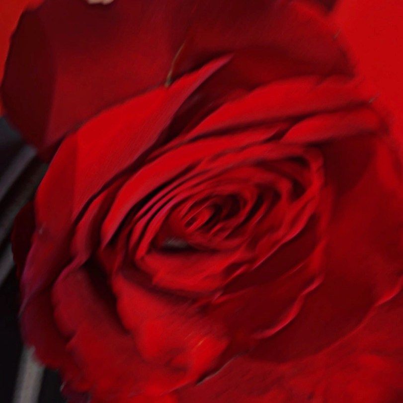 Fatima Muhammad Al-Omari