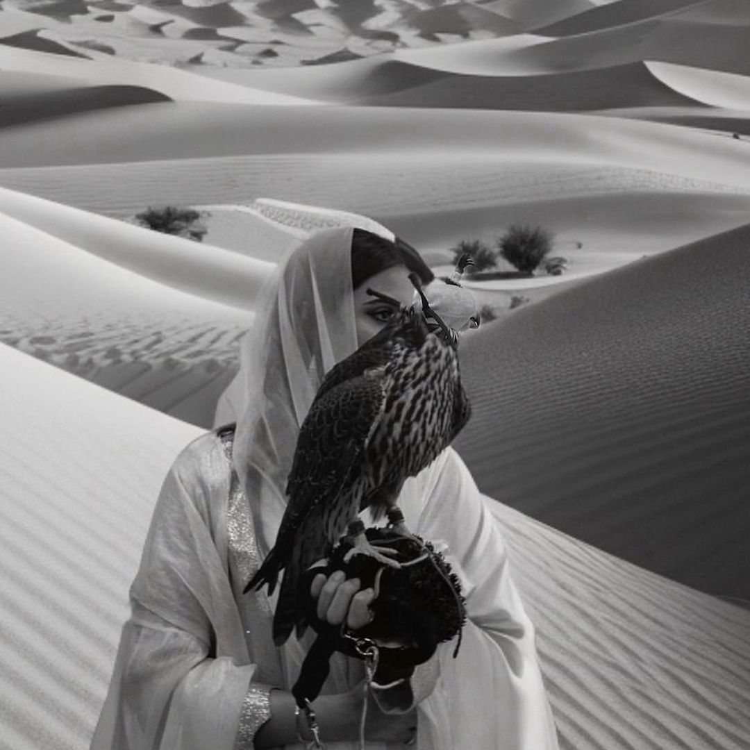 SAUDI LUXURY | تغطيات