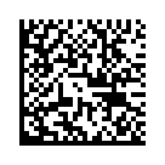 Profile QR Code