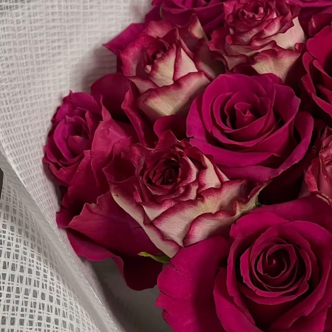 بلوقر الياء