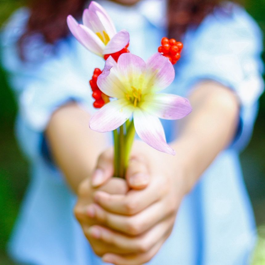 ساره سعود | مصورة